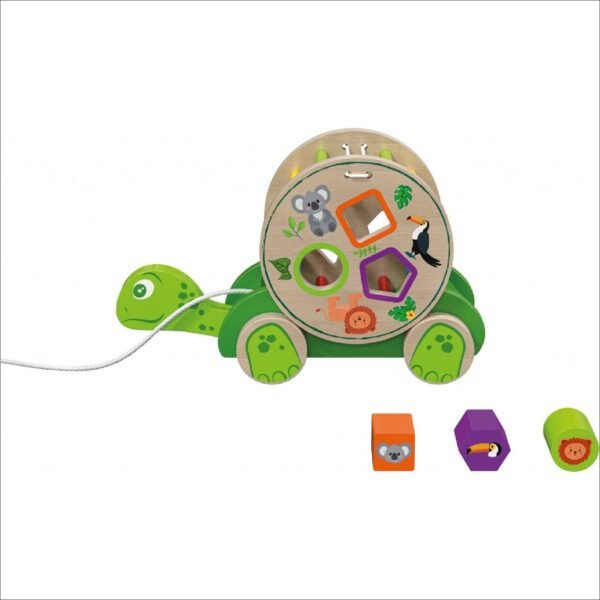 Promotes fine motor skills, shape recognition and logical thinking